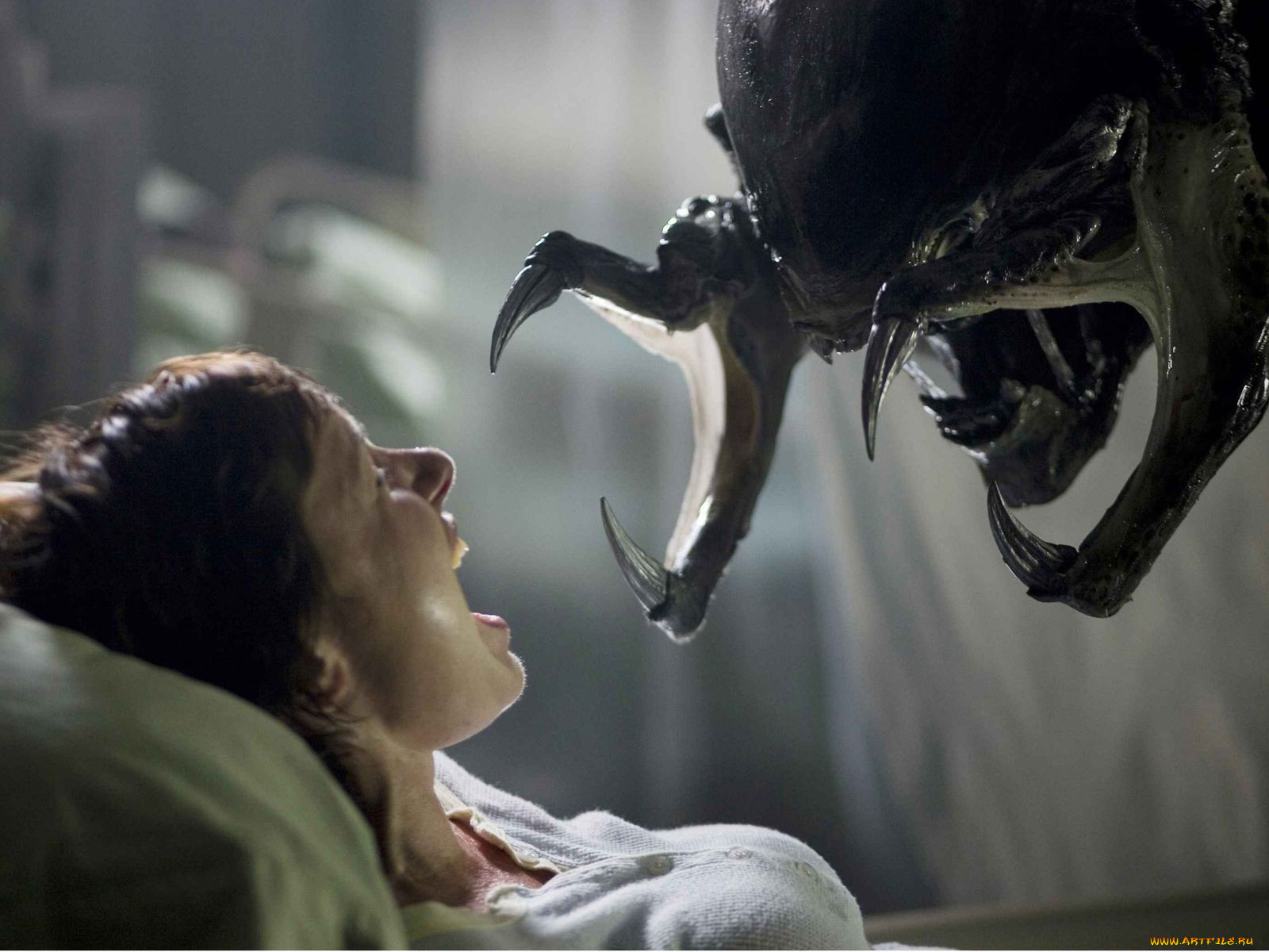 , , aliens, vs, predator, requiem